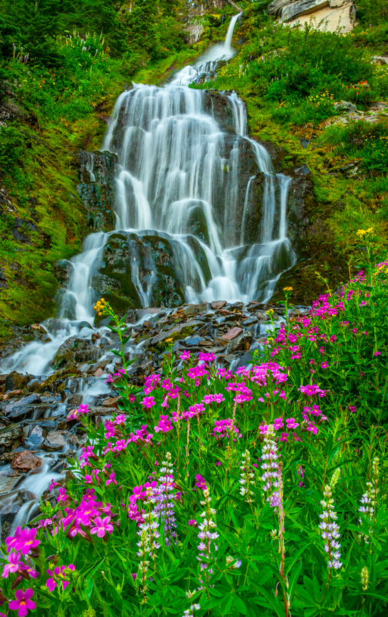 Crater Lake National Park Vidae Falls Oregon Waterfall Wildflowers Fine Art Landscape Photography Mark Lilly