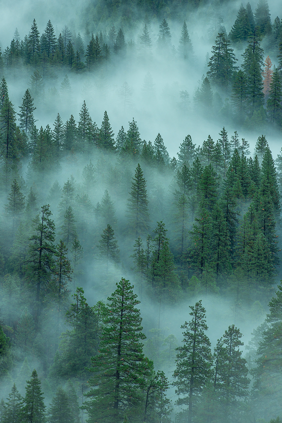 Yosemite National Park Yosemite Valley Fog Merced River Bridalveil Falls California Fine Art Landscape Photography Mark Lilly