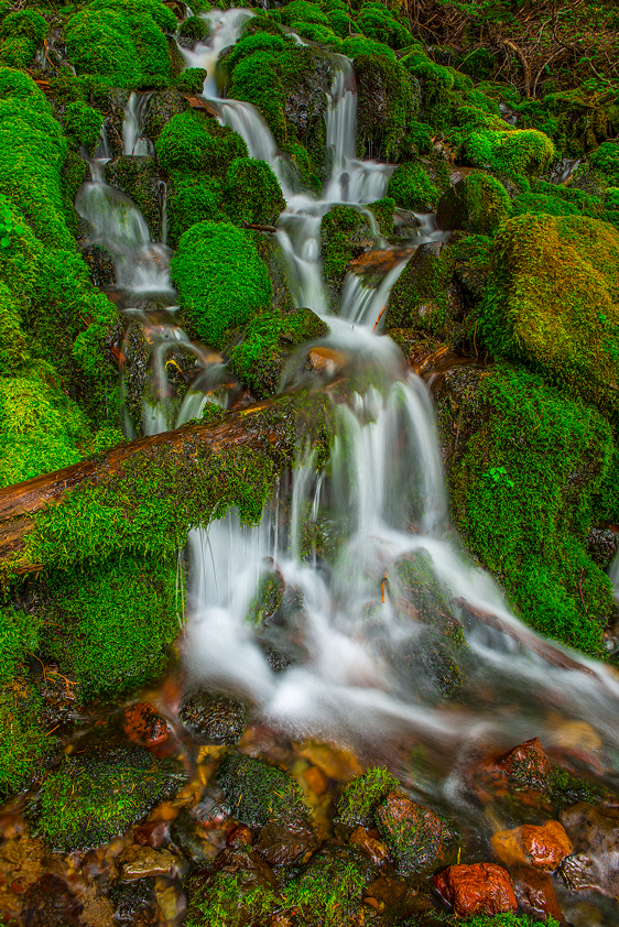 Mount Rainier National Park Spray Park Washington State Pacific Northwest Waterfalls Fine Art Landscape Photography Mark Lilly