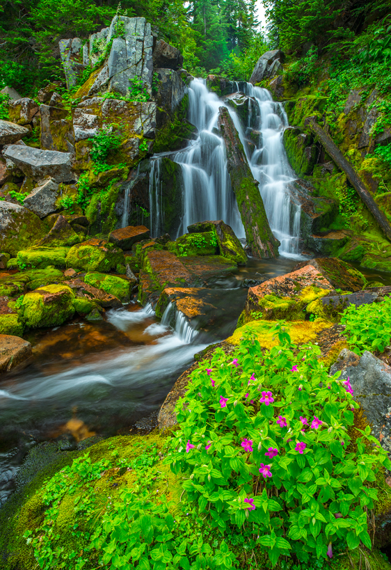 Mount Rainier National Park Waterfall Wildflowers Washington State Pacific Northwest Fine Art Landscape Photography Mark Lilly