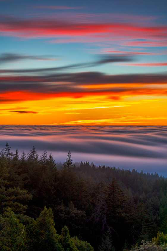 Mount Tamalpais State Park Marin County California Fine Art Landscape Photography Mark Lilly