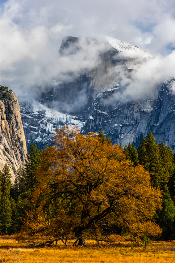 Yosemite National Park Deer Buck Merced River Yosemite Valley Snow California Fine Art Landscape Photography Mark Lilly