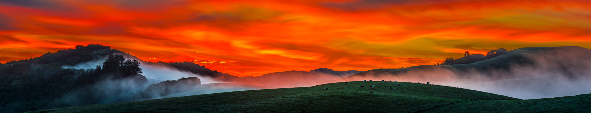 Marin County Sonoma County Countryside Fog Sunrise California Panorama Fine Art Landscape Photography Mark Lilly