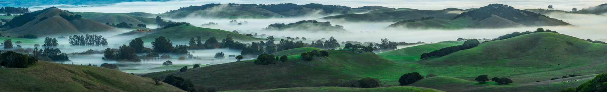 Marin County Sonoma County Countryside Fog Sunrise California Panorama Fine Art Landscape Photography Mark Lilly