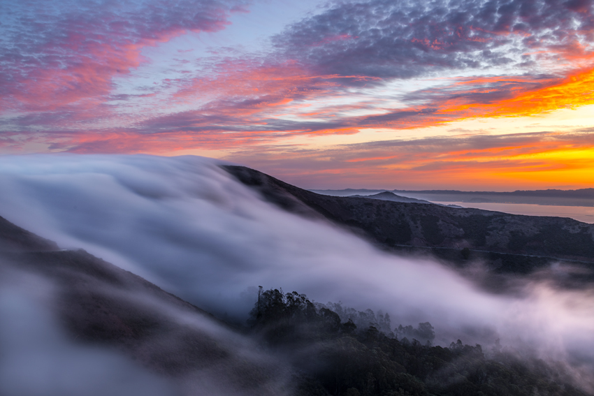 Mount Tamalpais State Park Marin County California Fog Fine Art Landscape Photography Mark Lilly