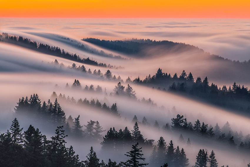 Mount Tamalpais State Park Marin County California Fog Fine Art Landscape Photography Mark Lilly